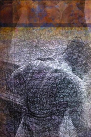 约瑟夫·尼克维多的当代艺术作品《萩空泡》