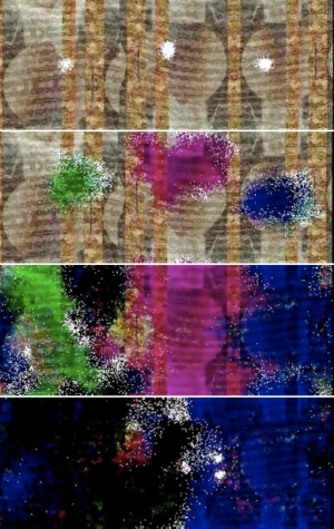 约瑟夫·尼克维多的当代艺术作品《计算机病毒2.0（多媒体）》