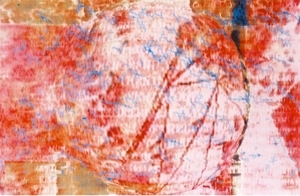 约瑟夫·尼克维多的当代艺术作品《病毒攻击：la,Carne》