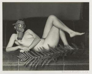 爱德华·亨利·韦斯顿的当代艺术作品《平民的防毒设备,1942》
