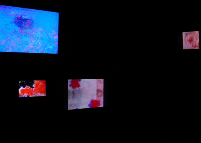 约瑟夫·尼克维多 当代多媒体艺术作品 -  《计算机病毒1.0（多媒体）》