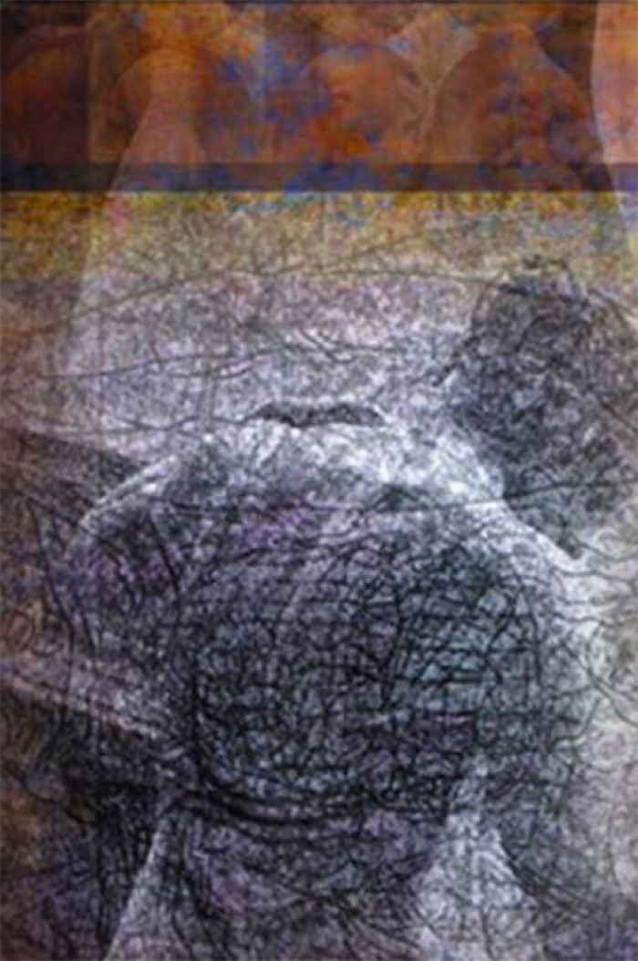 约瑟夫·尼克维多 当代各类绘画作品 -  《萩空泡》