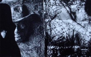 约瑟夫·尼克维多的当代艺术作品《压力下的优雅（双联画）》