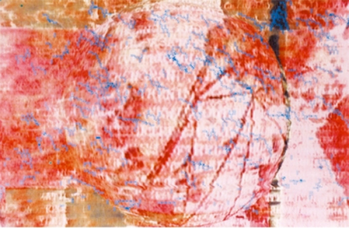约瑟夫·尼克维多 当代各类绘画作品 -  《病毒攻击：la,Carne》