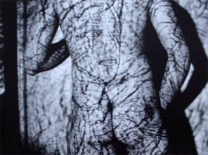 约瑟夫·尼克维多的当代艺术作品《压力下的优雅》