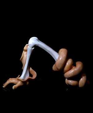 克劳德·西爱的当代艺术作品《手臂》