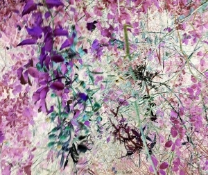 菲力浦·哈拉波达的当代艺术作品《克雷恩》
