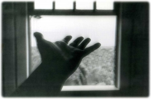 娜塔莉·布劳恩·巴伦德的当代艺术作品《手01》