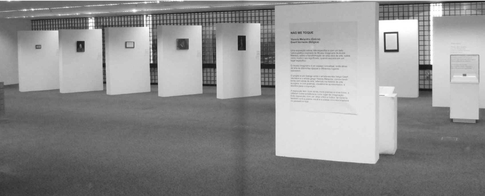 扬尼斯·梅拉尼提斯作品《一位虚构艺术家的虚构博物馆》