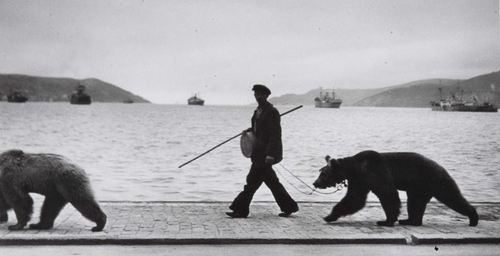 布拉塞 当代摄影作品 -  《Montreur,d,ours,au,long,du,bosphore,1953,年》
