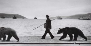 当代摄影 - 《Montreur,d,ours,au,long,du,bosphore,1953,年》