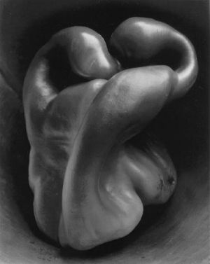 爱德华·亨利·韦斯顿的当代艺术作品《辣椒之编号,1930》