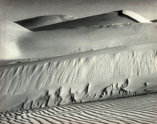 爱德华·亨利·韦斯顿 当代摄影作品 -  《白色的沙丘海洋,1936》