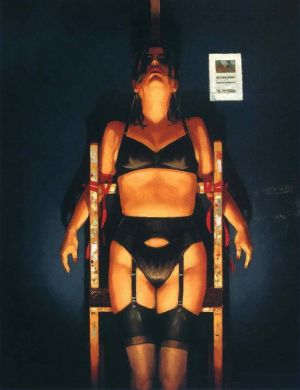 杰克·维特里亚诺的当代艺术作品《性爱》