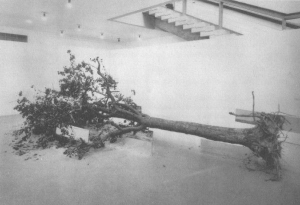 罗伯特·史密森 当代装置艺术作品 -  《死树,1969》