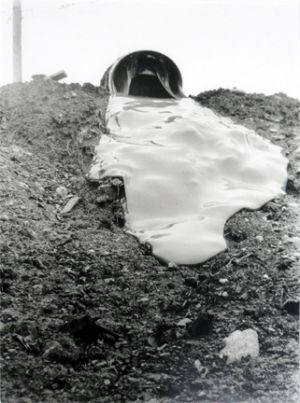 罗伯特·史密森的当代艺术作品《注入胶水,1969》