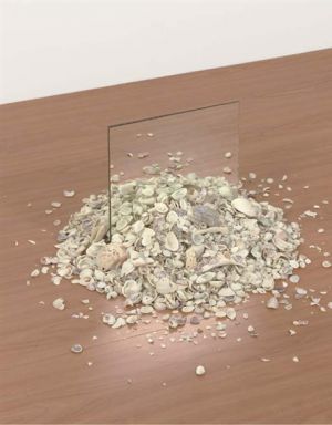 罗伯特·史密森的当代艺术作品《镜子和贝壳》