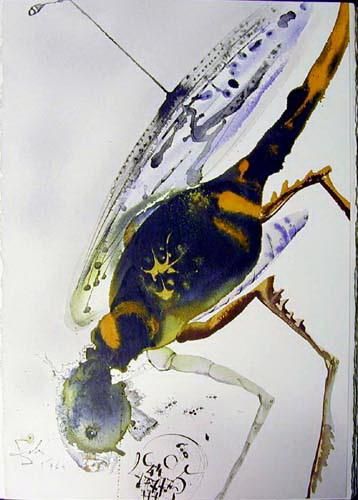 萨尔瓦多·达利 当代各类绘画作品 -  《蝗虫》