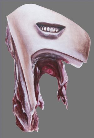 杜平的当代艺术作品《减少A分数系列肉》