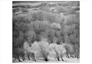 冯祥云的当代艺术作品《冬季森林》