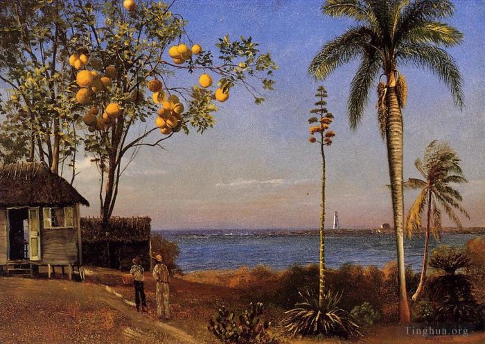 艾伯特·比尔施塔特 的油画作品 -  《巴哈马的景色》