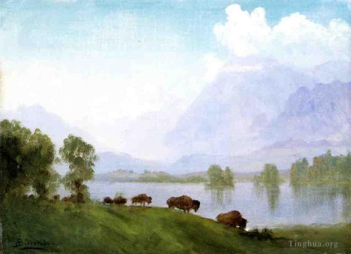 艾伯特·比尔施塔特 的油画作品 -  《布法罗乡村》