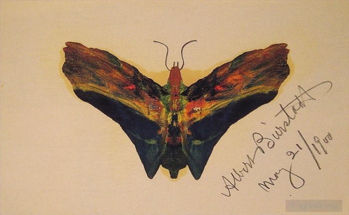 艾伯特·比尔施塔特 的油画作品 -  《蝴蝶发光主义》