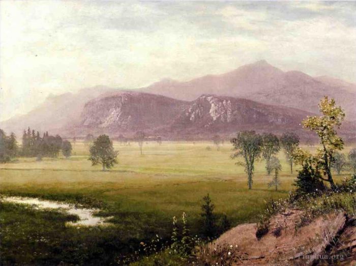 艾伯特·比尔施塔特 的油画作品 -  《新罕布什尔州康威梅多斯》