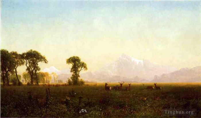 艾伯特·比尔施塔特 的油画作品 -  《怀俄明州大提顿放牧鹿》