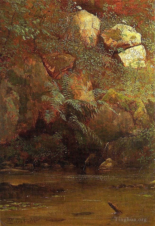艾伯特·比尔施塔特 的油画作品 -  《堤坝上的蕨类植物和岩石》