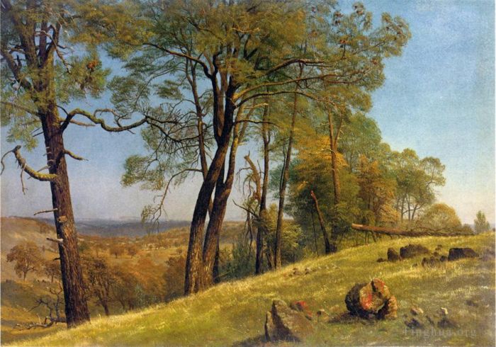 艾伯特·比尔施塔特 的油画作品 -  《加利福尼亚州罗克兰县风景》