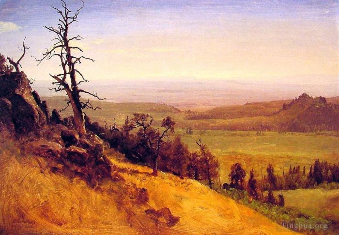 艾伯特·比尔施塔特 的油画作品 -  《内布拉斯加州瓦萨奇山脉》