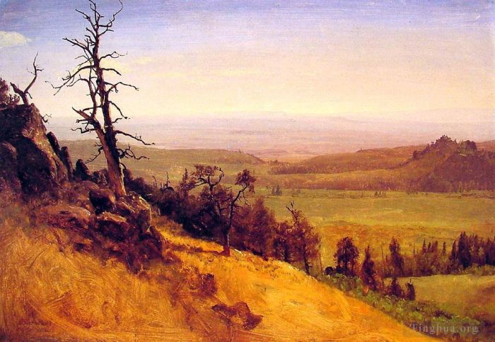 艾伯特·比尔施塔特 的油画作品 -  《纽布拉斯加州瓦萨奇山脉》