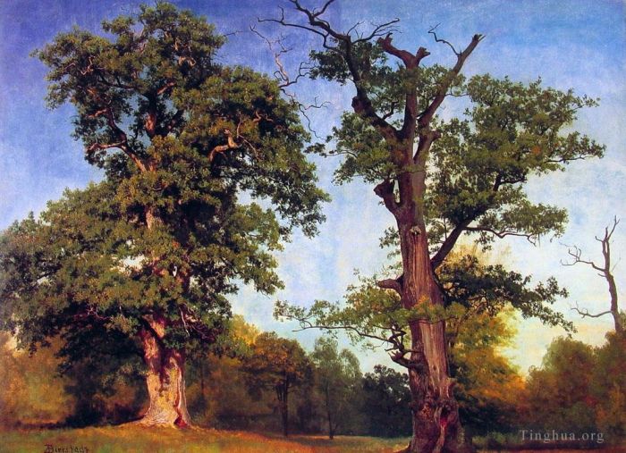 艾伯特·比尔施塔特 的油画作品 -  《森林的先驱者》