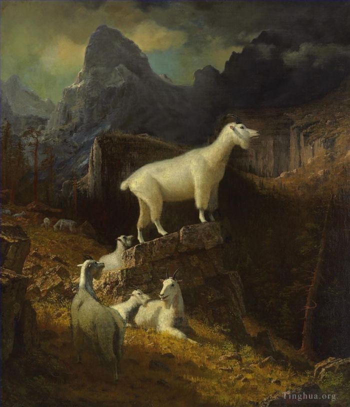 艾伯特·比尔施塔特 的油画作品 -  《落基山山羊》