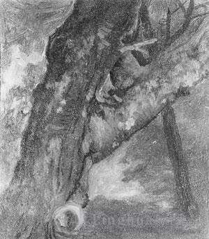 艾伯特·比尔施塔特 的油画作品 -  《一棵树发光主义的研究》