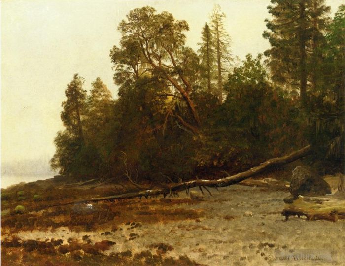 艾伯特·比尔施塔特 的油画作品 -  《倒下的树》