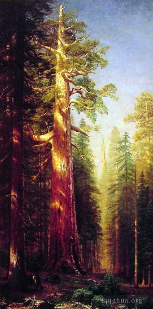 艾伯特·比尔施塔特 的油画作品 -  《大树》