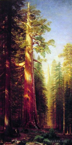艺术家艾伯特·比尔施塔特作品《大树》