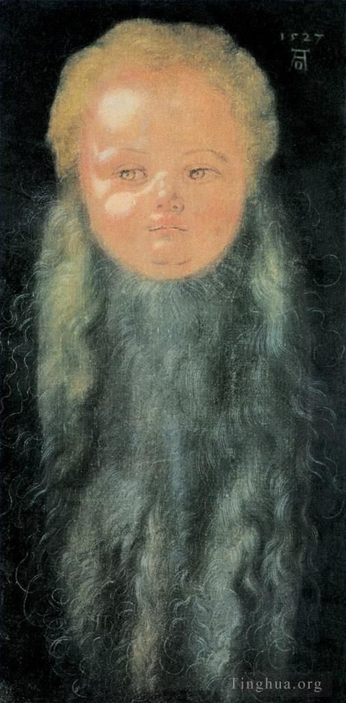 阿尔布雷特·丢勒 的油画作品 -  《长胡子男孩的肖像》