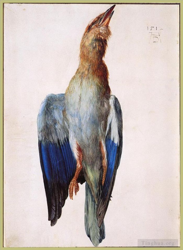 阿尔布雷特·丢勒 的各类绘画作品 -  《死蓝鸟》