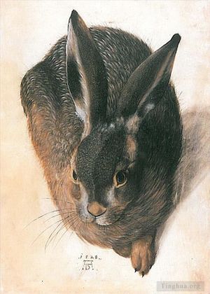 艺术家阿尔布雷特·丢勒作品《野兔》