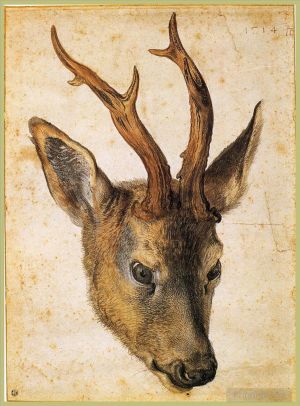 艺术家阿尔布雷特·丢勒作品《雄鹿的头》