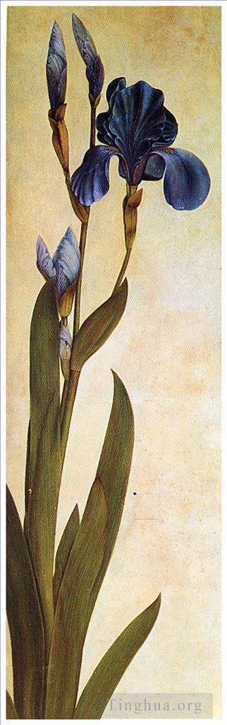 阿尔布雷特·丢勒 的各类绘画作品 -  《艾里斯·特罗伊安娜》
