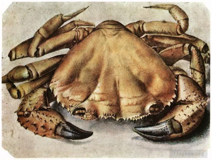 阿尔布雷特·丢勒 的各类绘画作品 -  《龙虾》