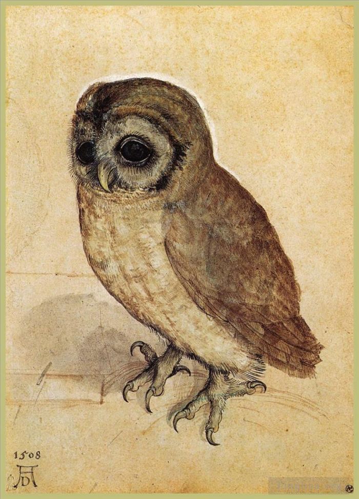 阿尔布雷特·丢勒 的各类绘画作品 -  《小猫头鹰》