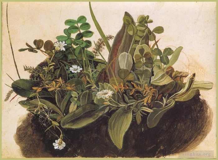 阿尔布雷特·丢勒 的各类绘画作品 -  《小一丛草》