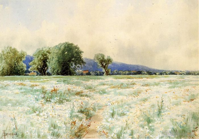 阿尔弗雷德·汤普森·布瑞彻 的油画作品 -  《雏菊田》