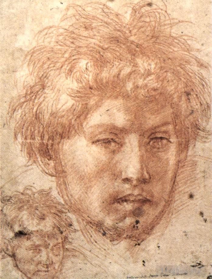 安德列亚·德尔萨托 的各类绘画作品 -  《一个年轻人的头》