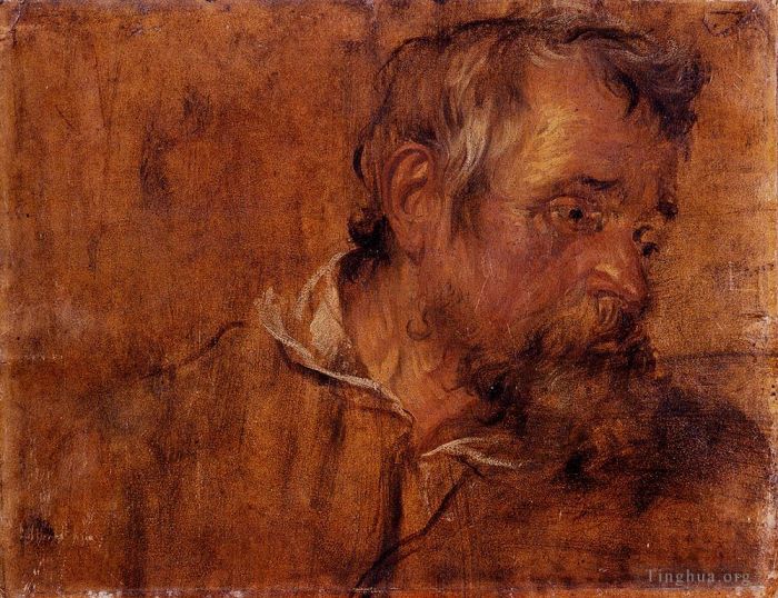 安东尼·凡·戴克 的各类绘画作品 -  《大胡子老人的侧面研究》